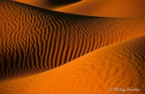 philippe pawelka expo photo desert