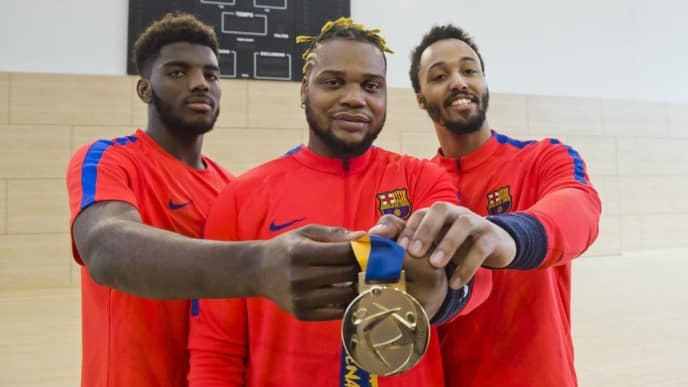 LES FRANCAIS DU BARCA CHAMPIONS DU MONDE DE HAND 2017.jpg large