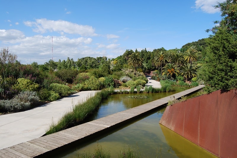 jardin botanique barcelone