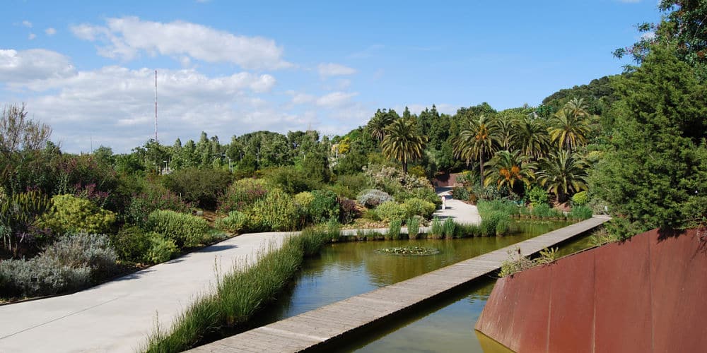 jardinbotanicbarcelonaok