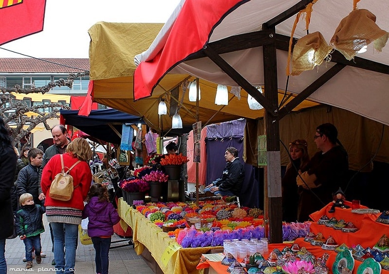 fete medievale