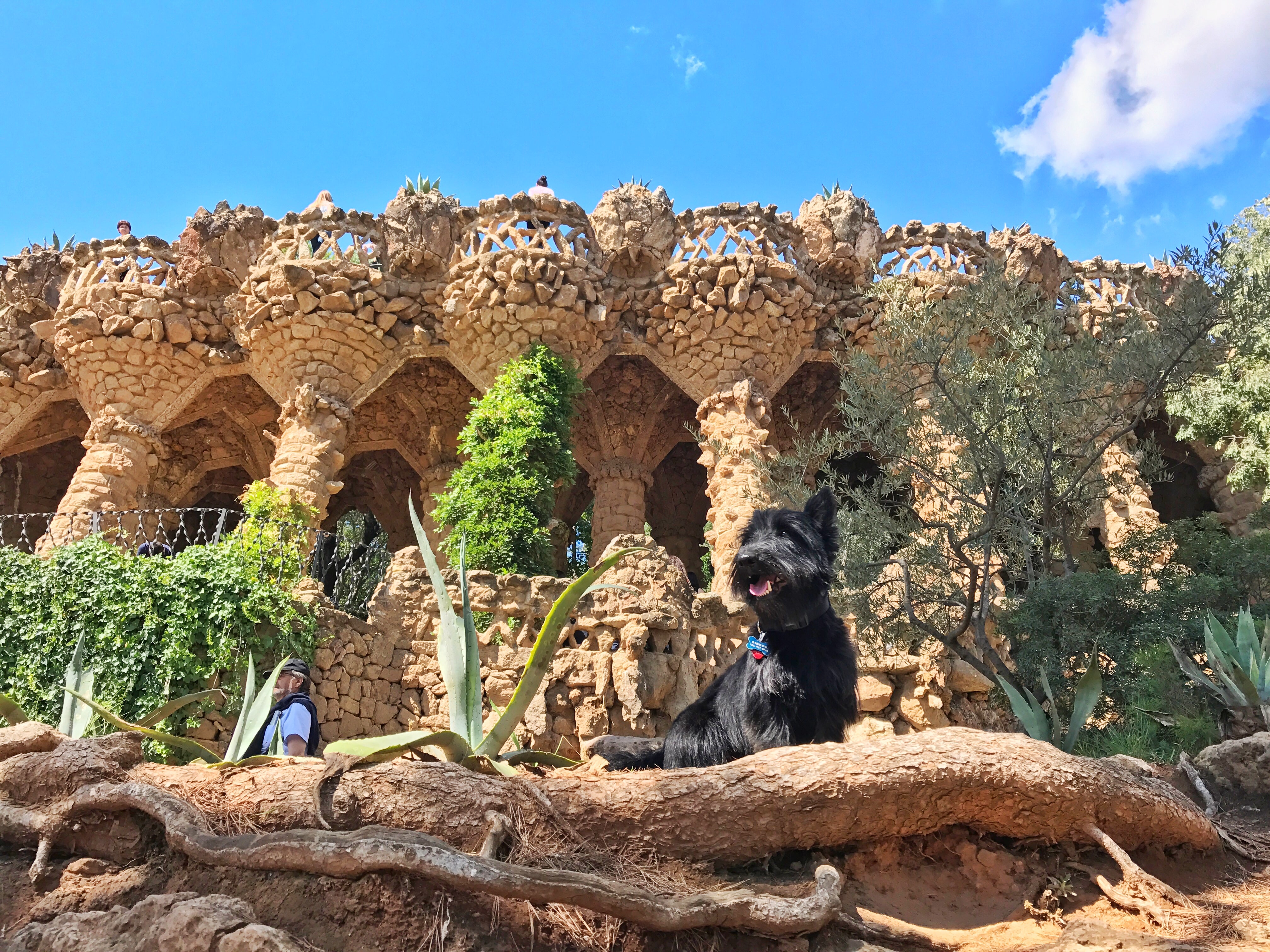 dog-parc-guell
