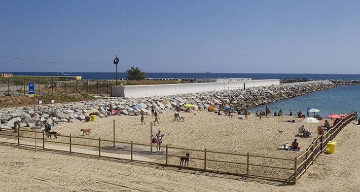 plage chiens barcelone