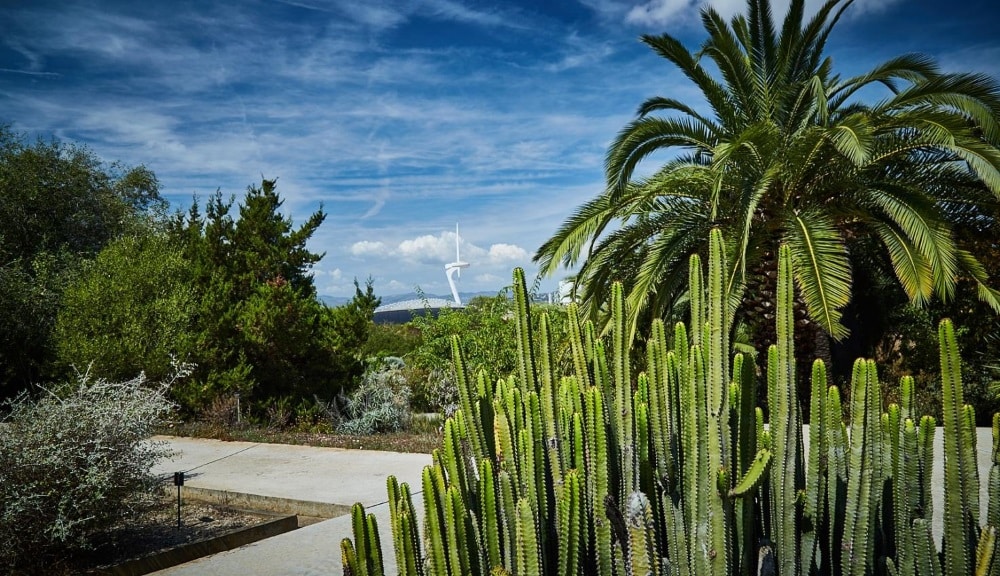 jardin botanique barcelone