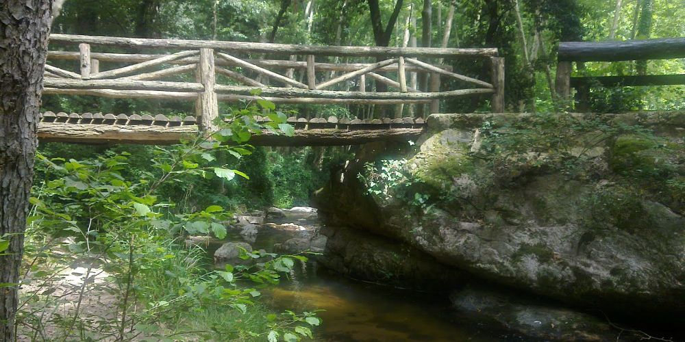 parcgualbaok