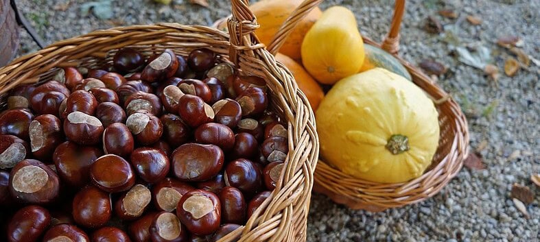 La Catalogne célèbre l’arrivée de l’automne avec la Castanyada 1 fête de la chataigne