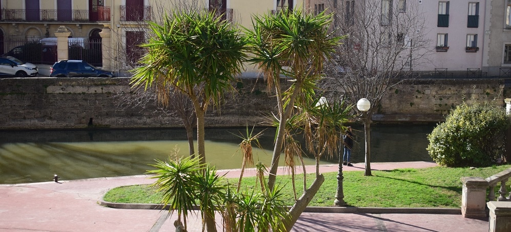 jardin narbonne