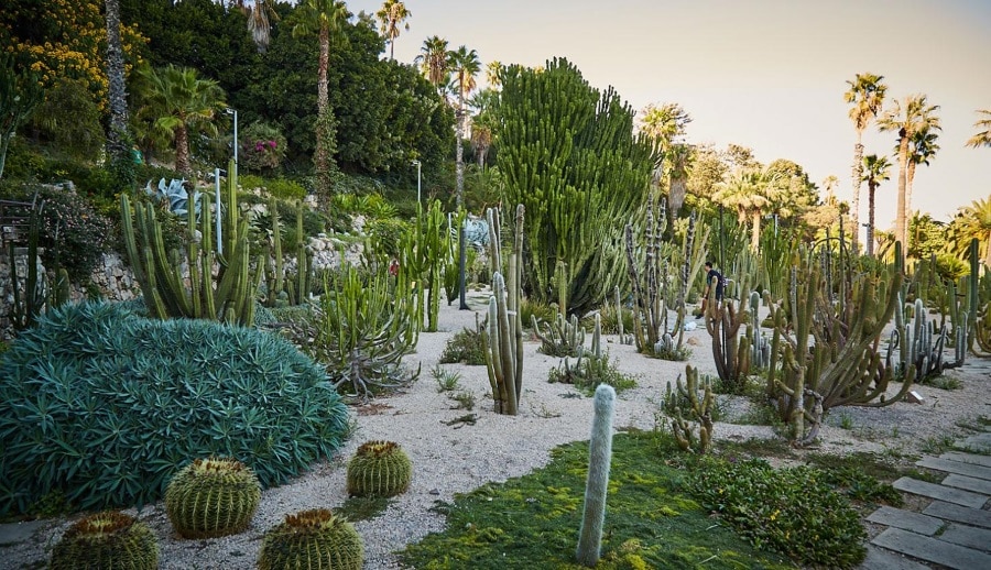 jardins castus