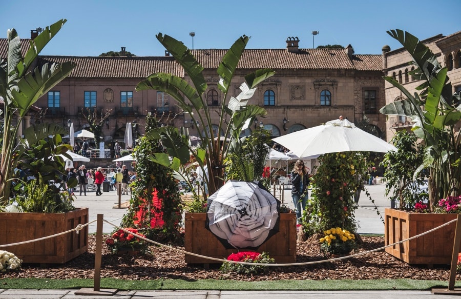 poble espanyol flor