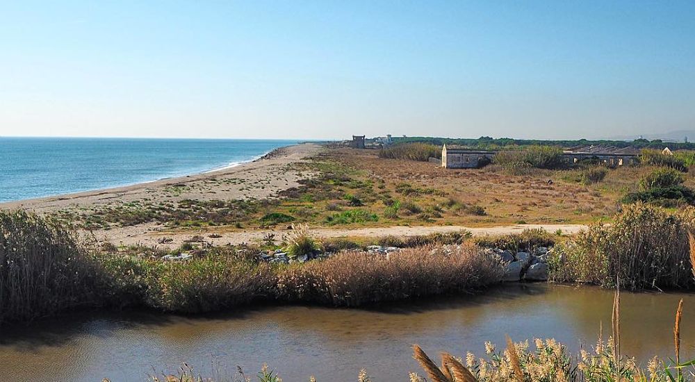 delta de llobregat, rivière mer