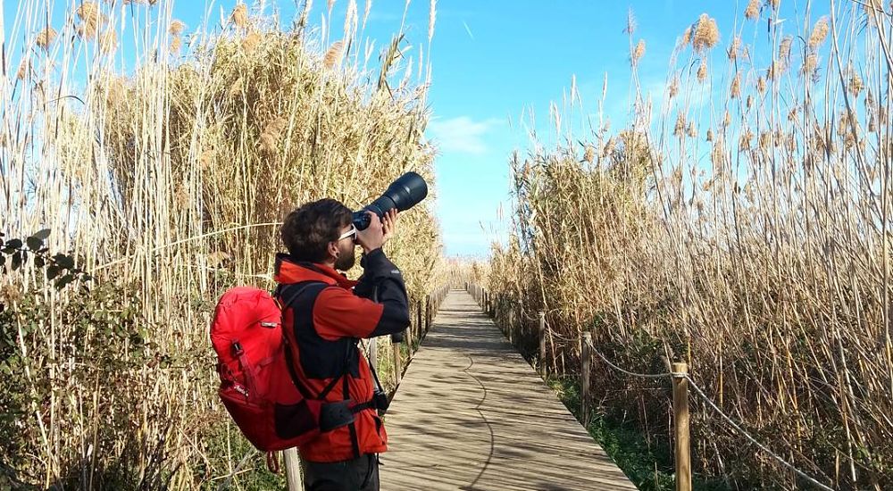 Delta de Llobregat ornothologie