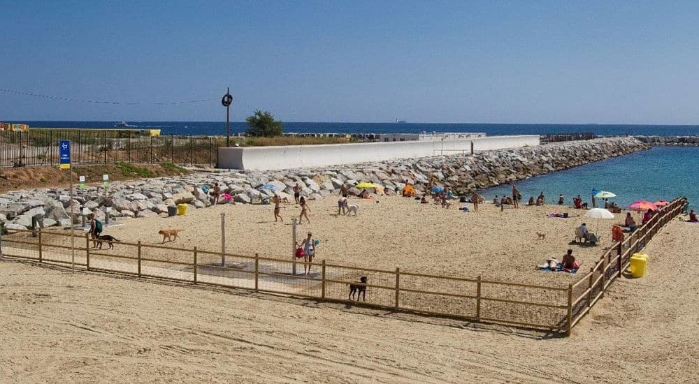 plage pour les chiens Playa Llevant Barcelona