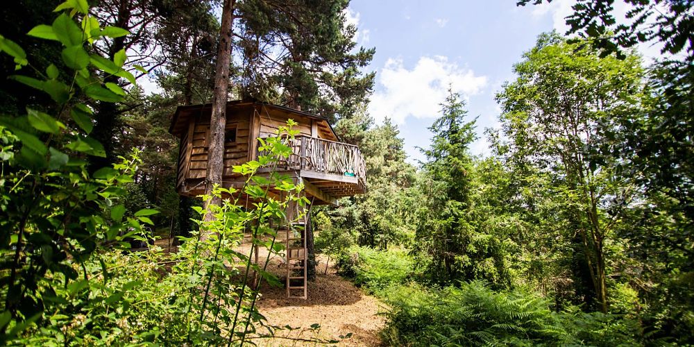 cabane dans les arbres