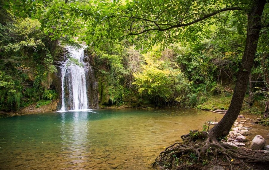 piscine naturelle catalogne