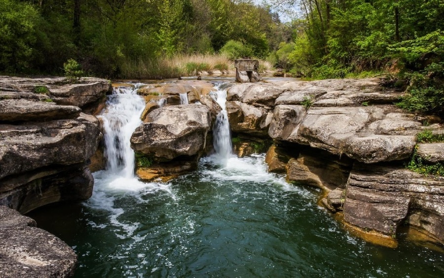 piscine naturelle