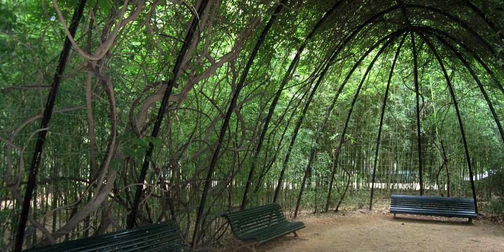 pergola Pedralbes