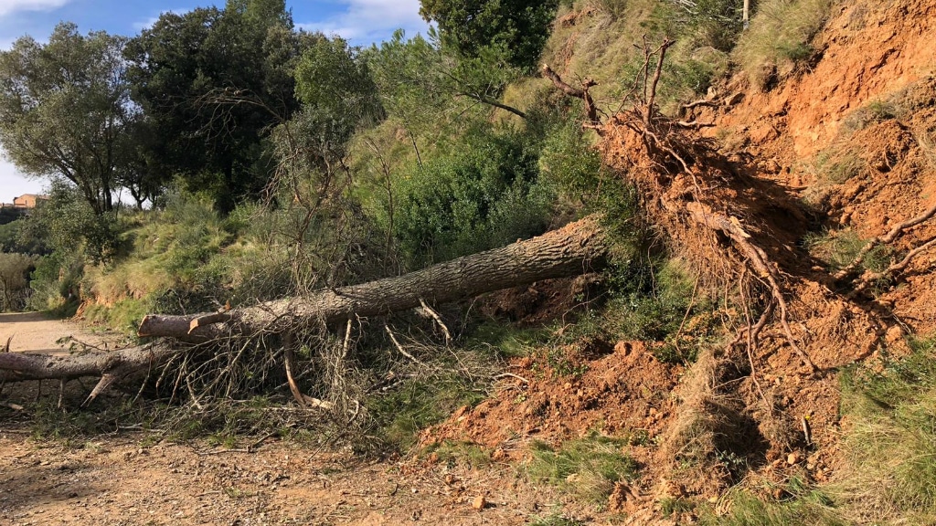 catalogne tempête