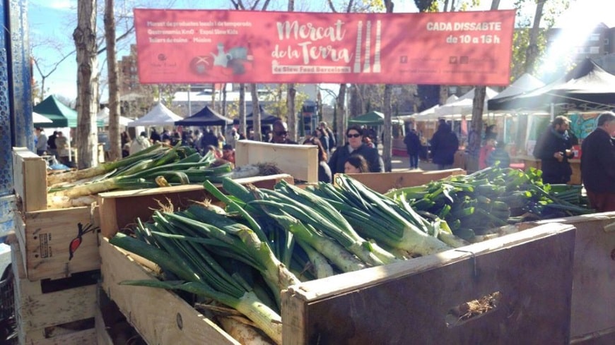 calçots barcelone catalogne