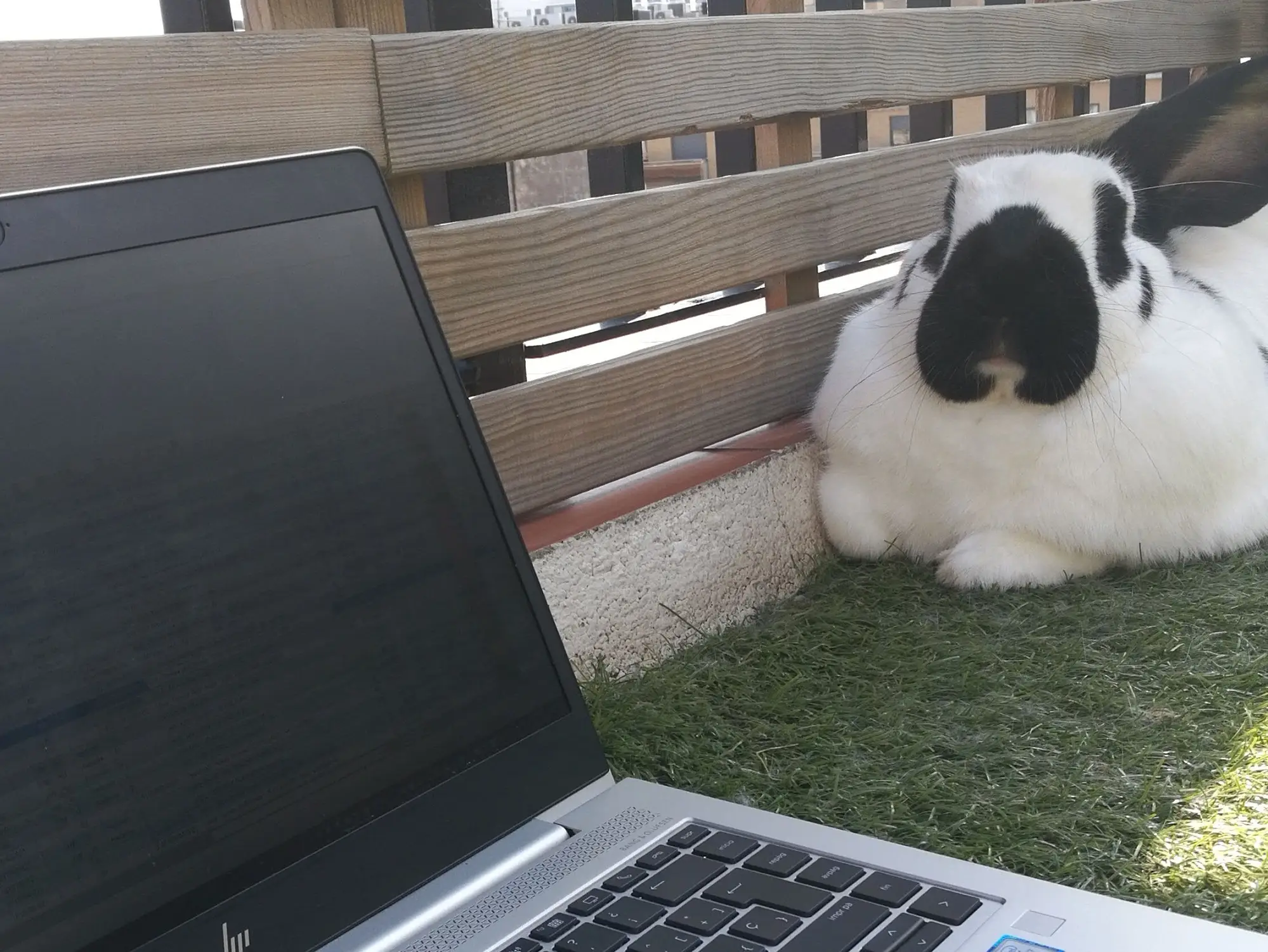 Confinement Barcelone: l'album photo des lecteurs 32 Barnabé Eve Schaltenbrand