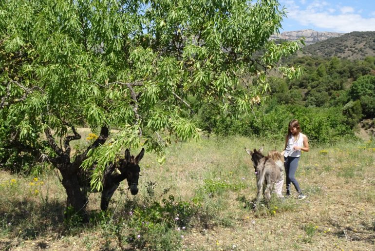 5 adresses de Barcelonaises: Swann et Lou-Andréa, 11 ans 10 barcelone