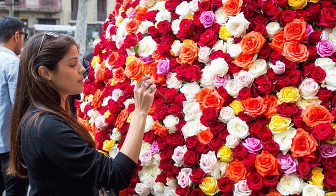 fête roses 2
