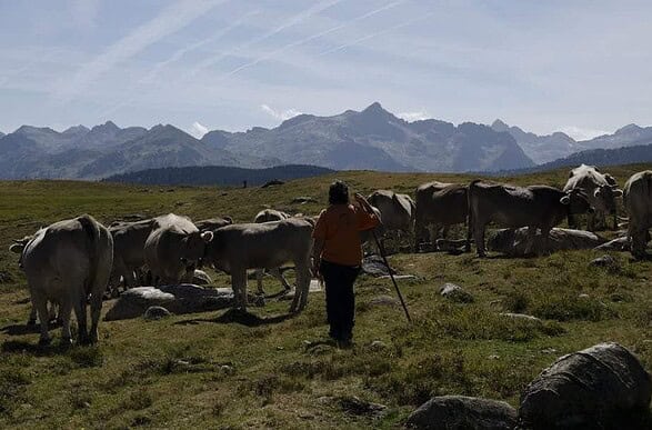 Dans les Pyrénées catalanes, Meritxell et Laia à la reconquête de la terre 3 femmes pyrénées catalanes