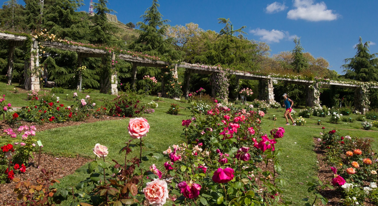 parc de cervantes