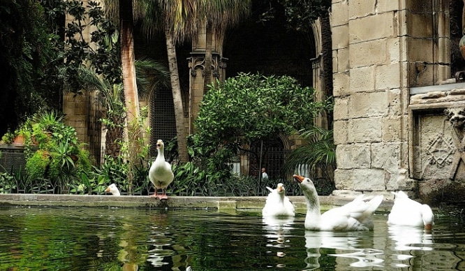 Cloître Barcelone