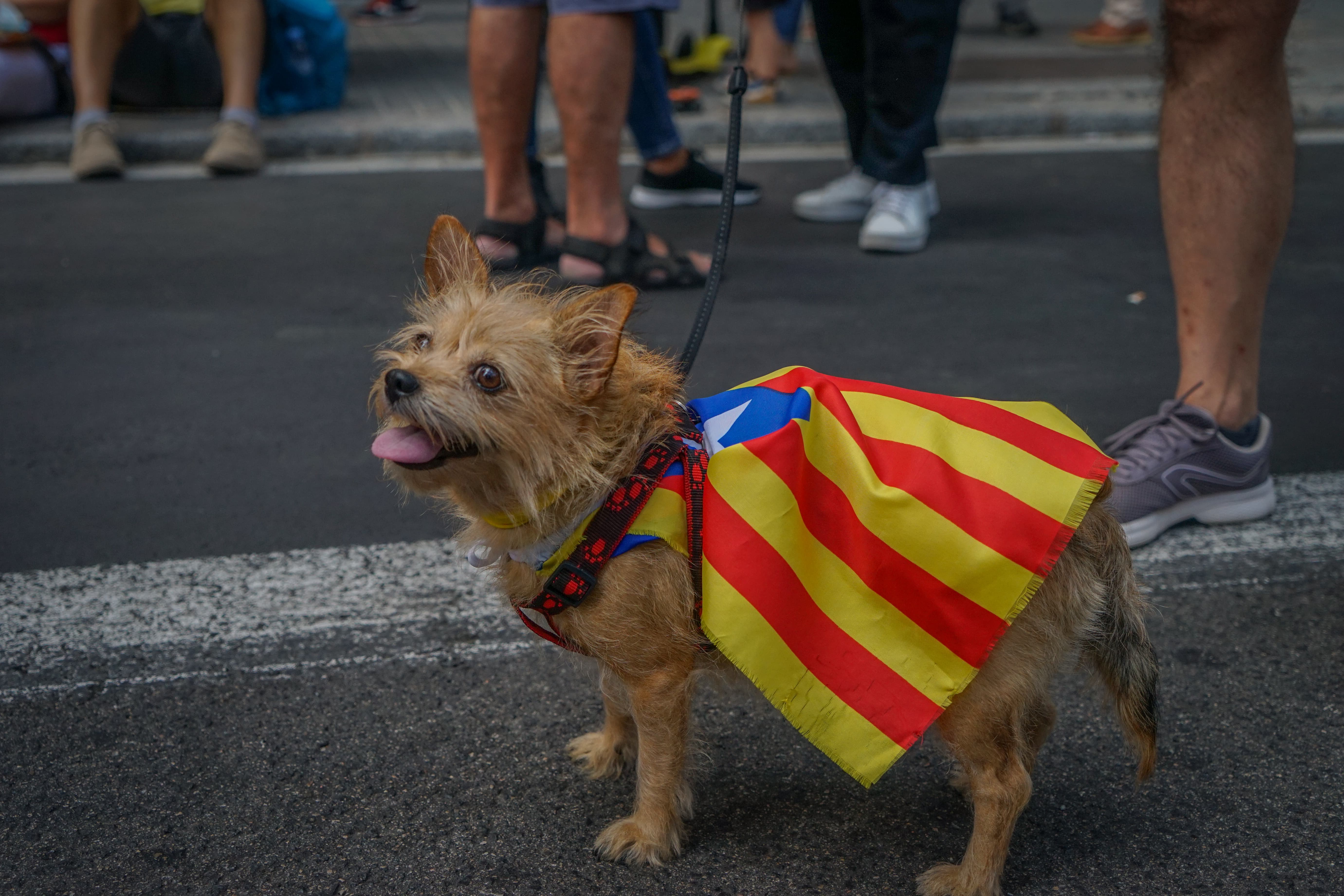 Diada de Barcelone