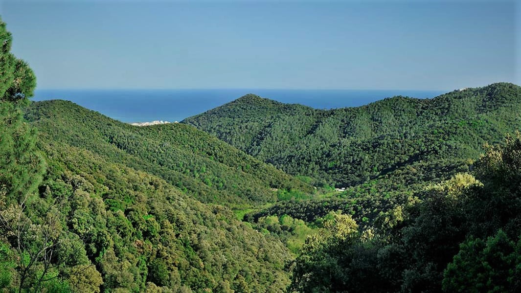 Parc silencieux en Espagne