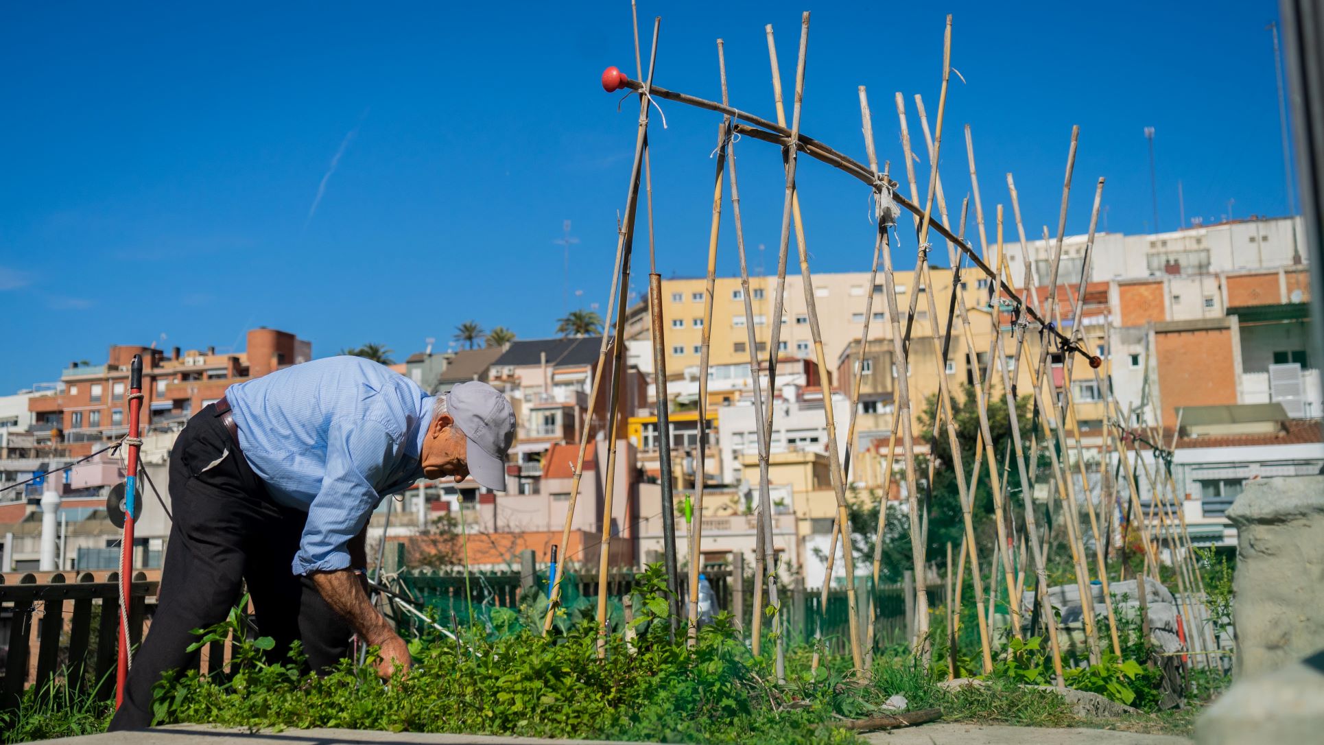 potager barcelone