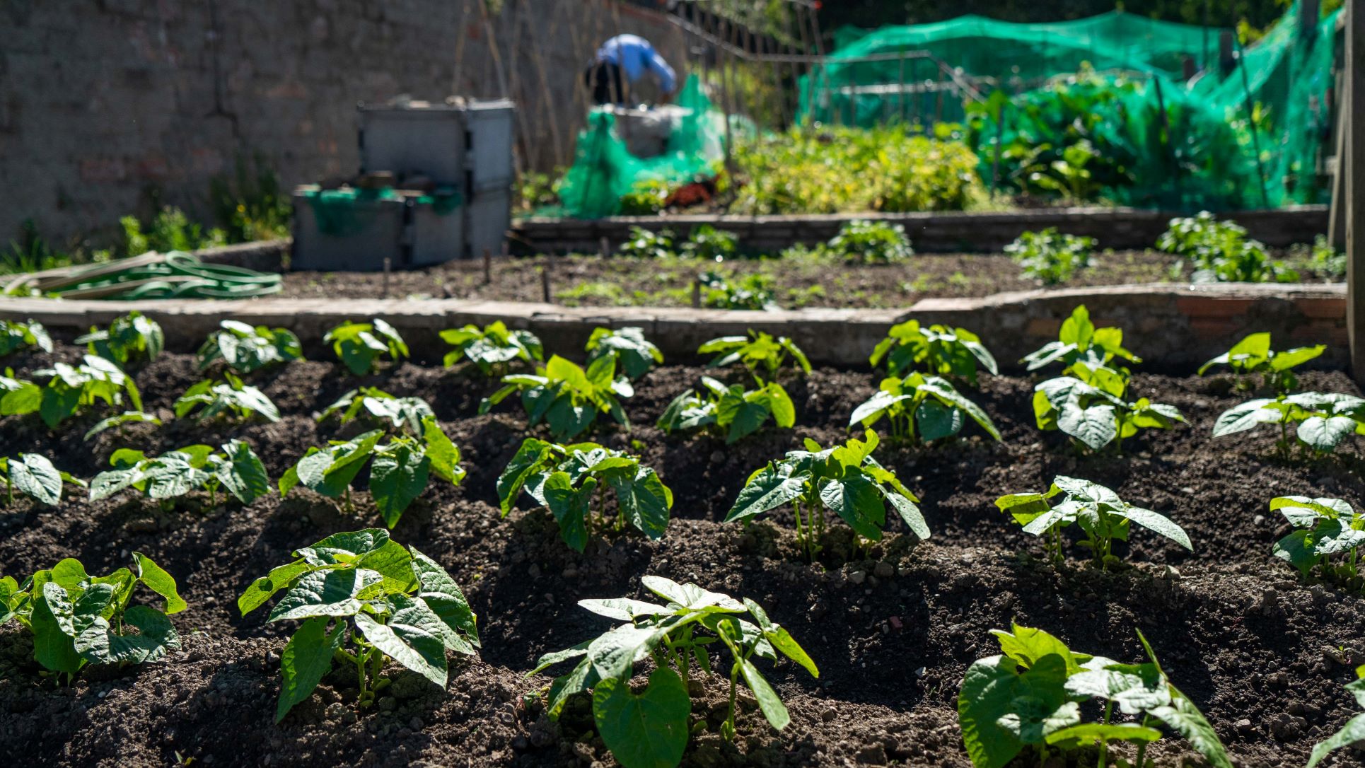 potager barcelone