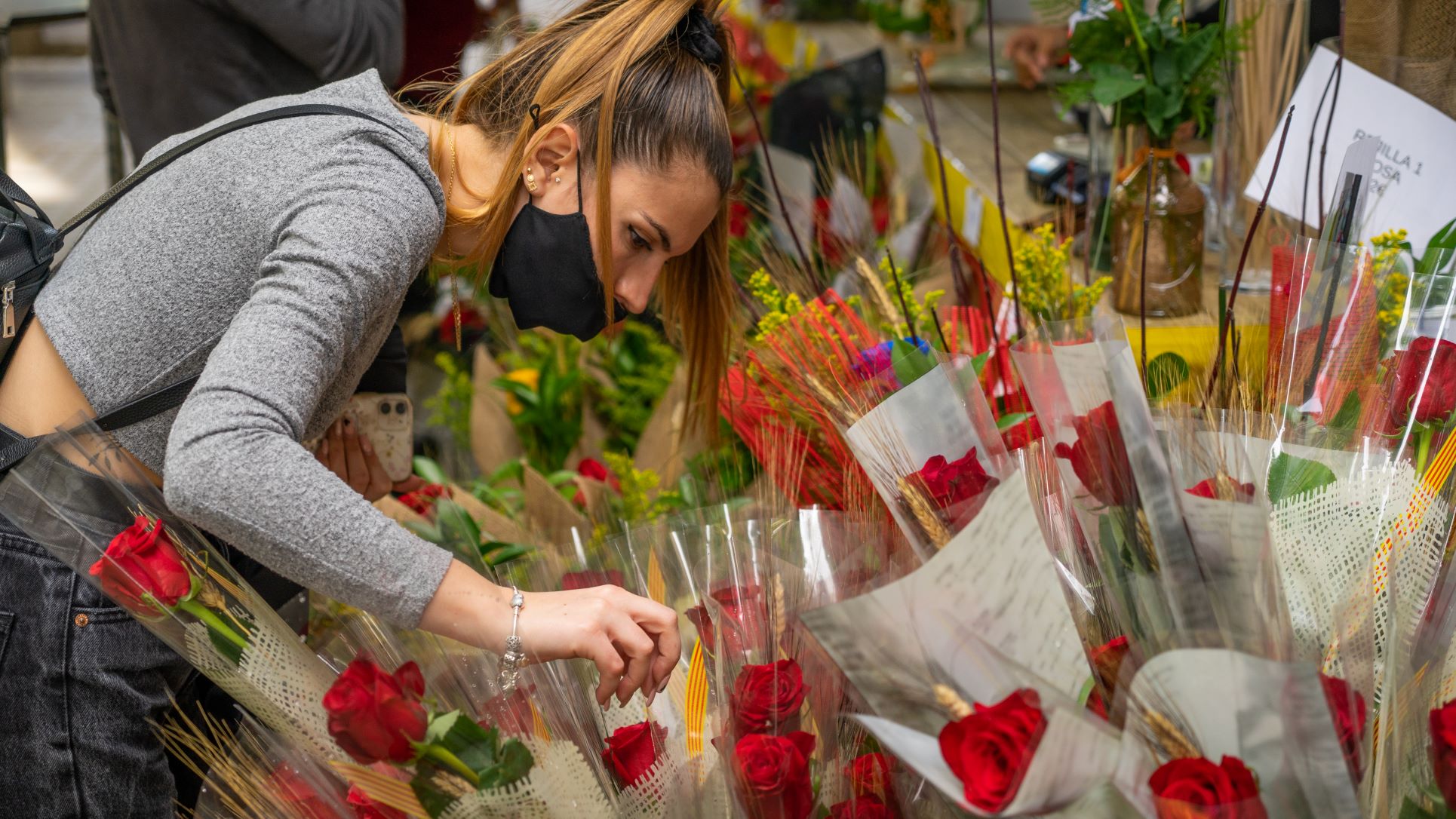 sant jordi catalogne