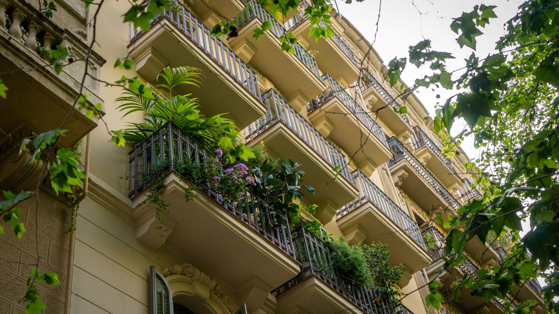 Logement appart maison louer acheter immobilier Barcelone Eixample balcon Photo Clementine Laurent Equinox 07938 2