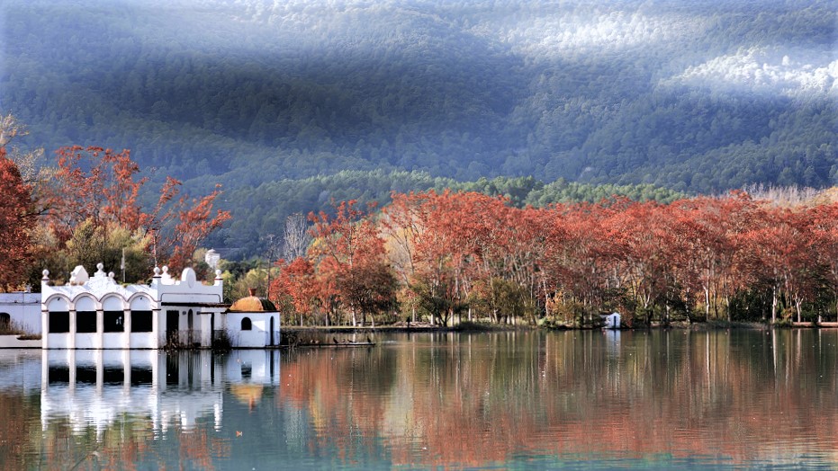 monstre banyoles catalogne