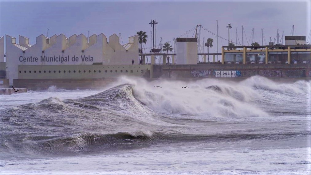 tsunami barcelone