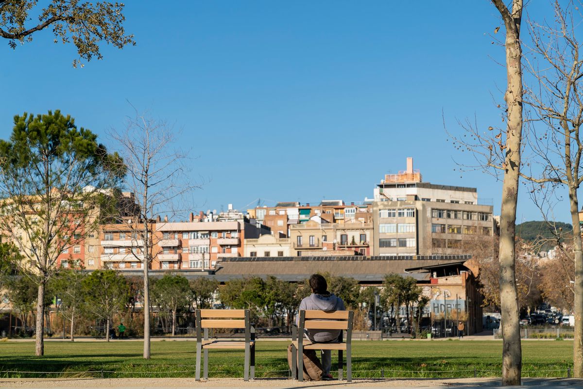 solitude chez les jeunes barcelonais