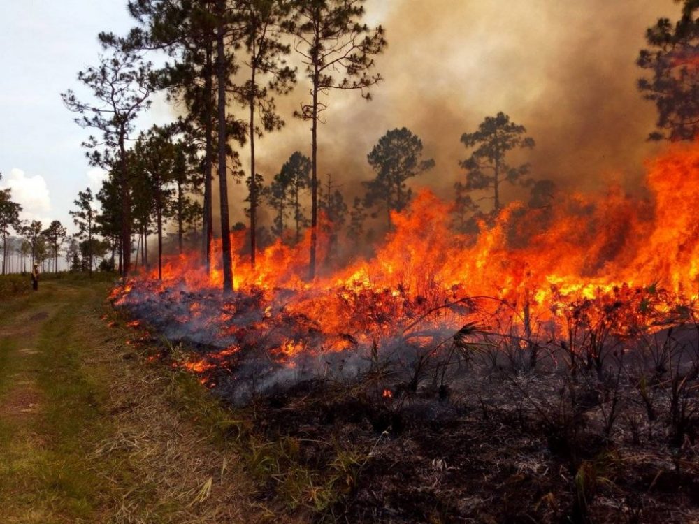 Cataluña sequía incendios calor