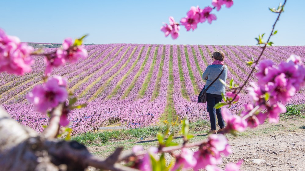 vins catalans changement climatique