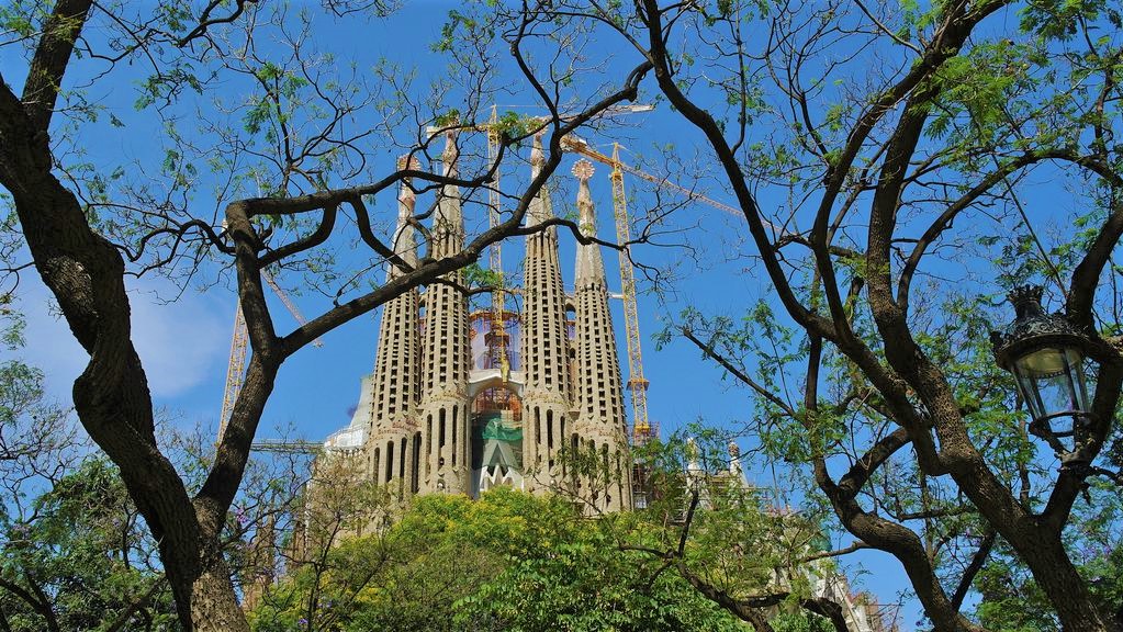 arbres barcelone changement climatique