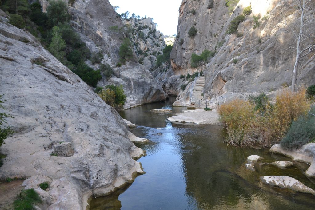 horta de sant Joan 2