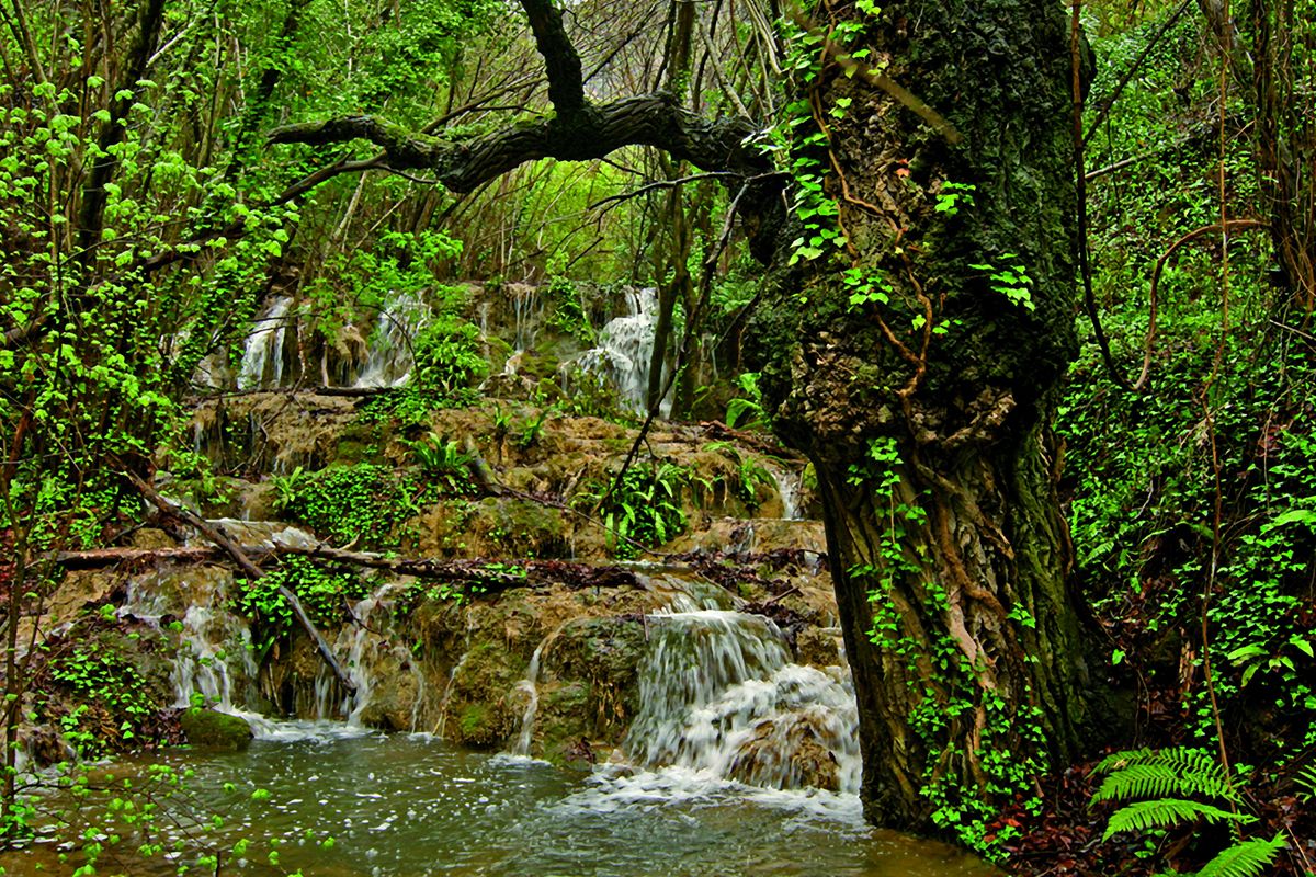 Vallée Llemena Sant Gregori Gérone Barcelone Escapade Famille