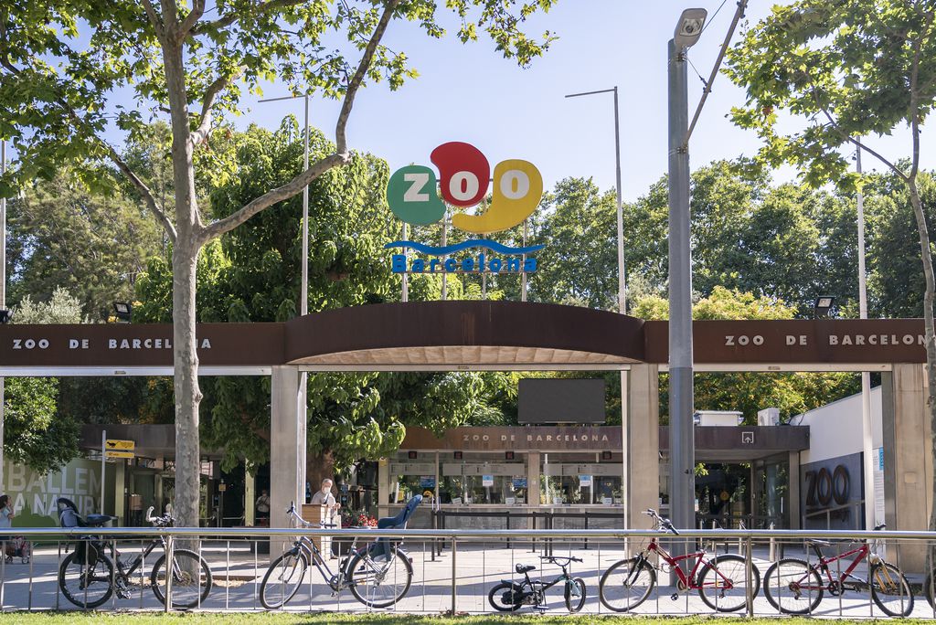 Zoo Barcelone - Ajuntament de Barcelona