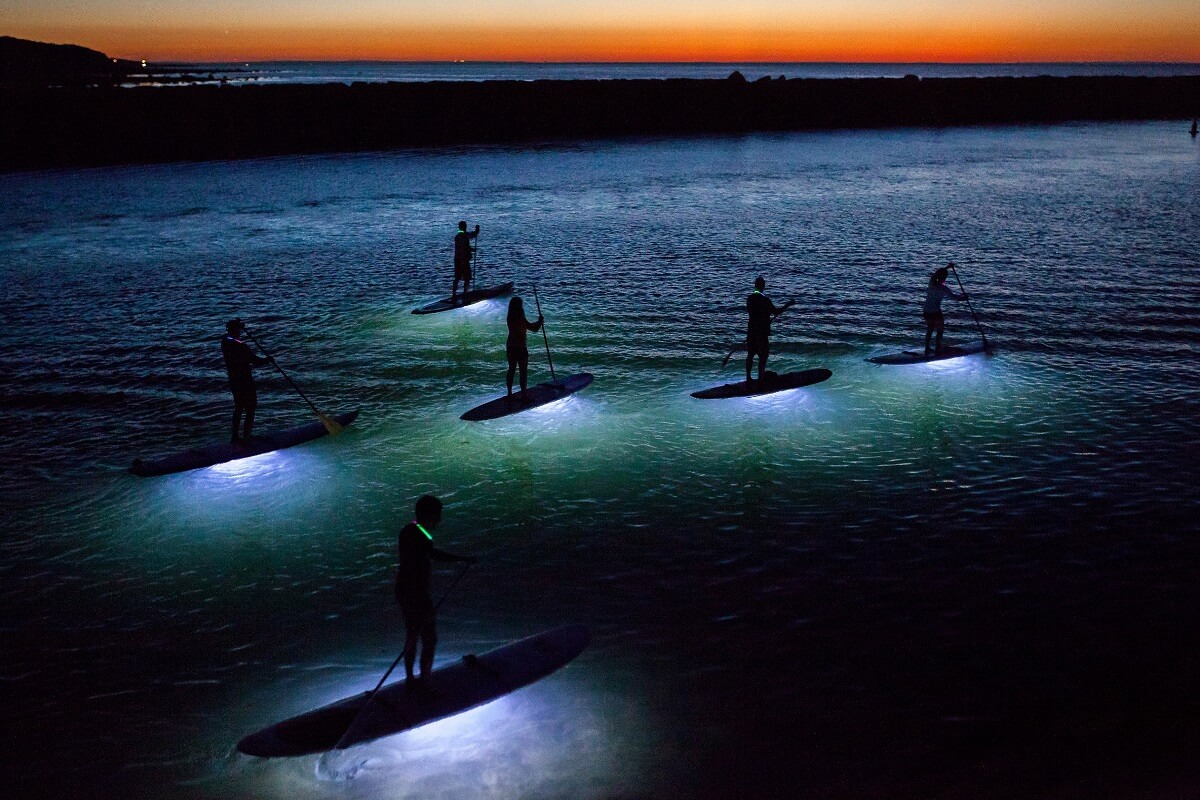 night excursion paddle sup led 3