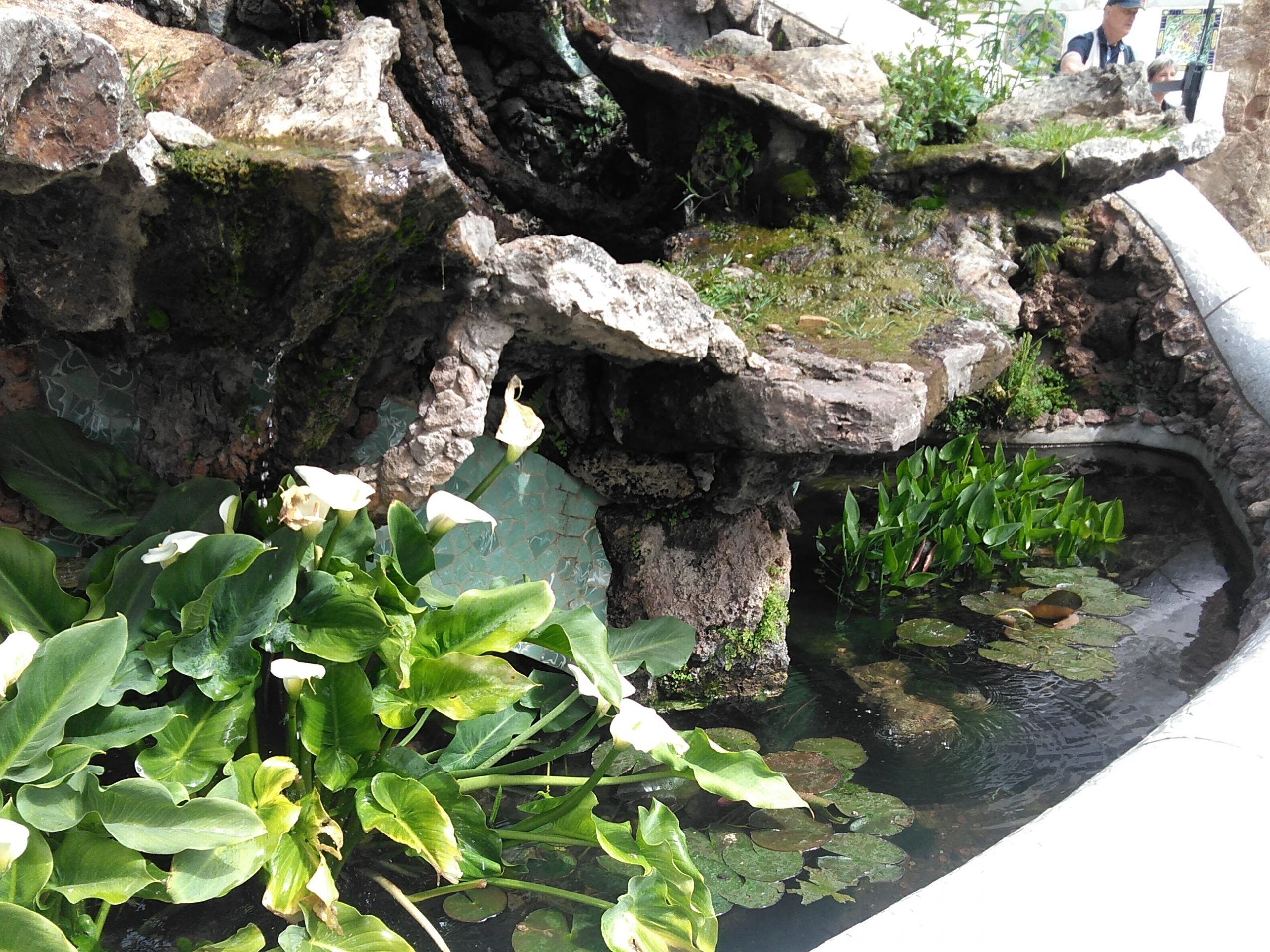 plantes fontaine Park Guell scaled