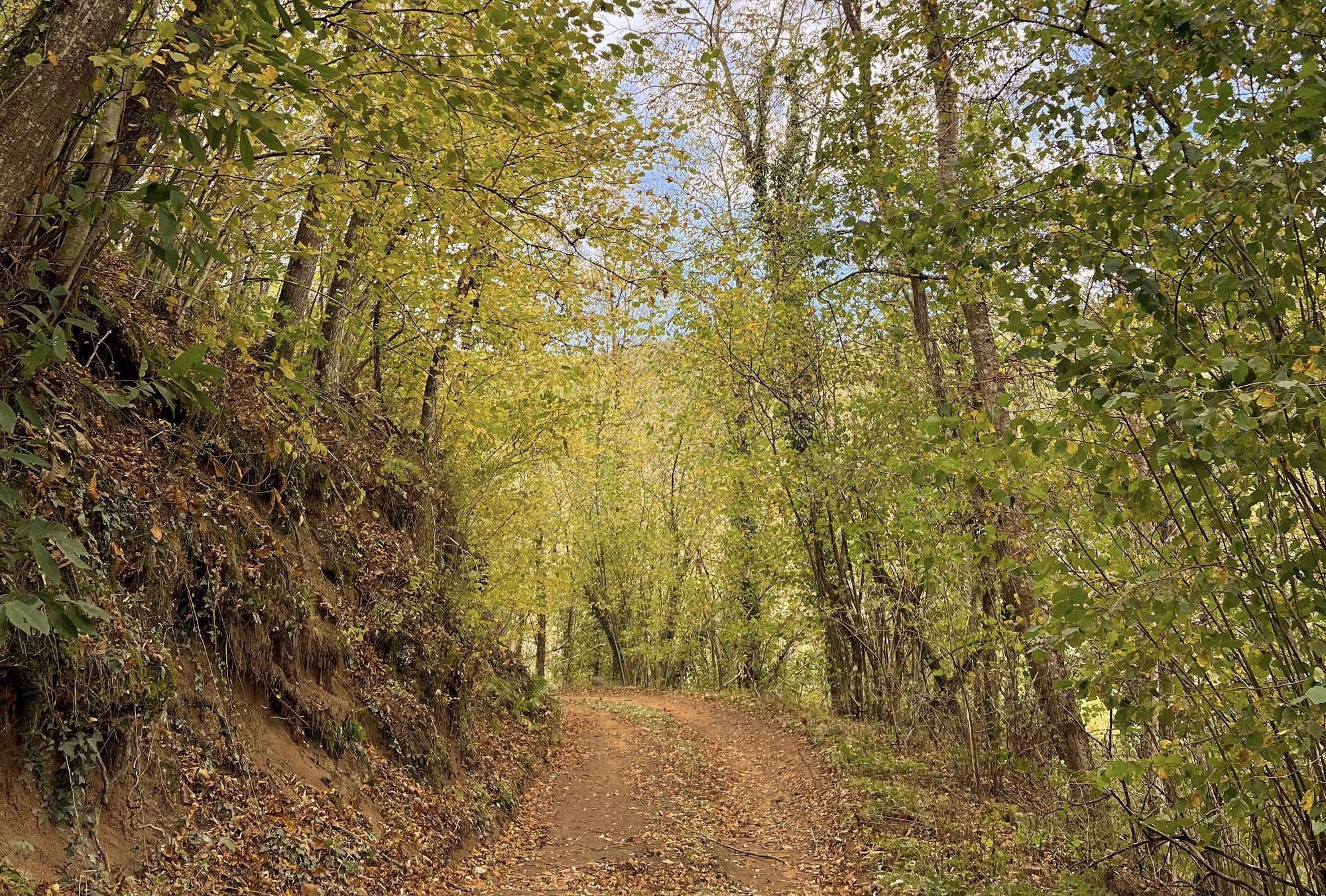 rando de espinelves a viladrau 2