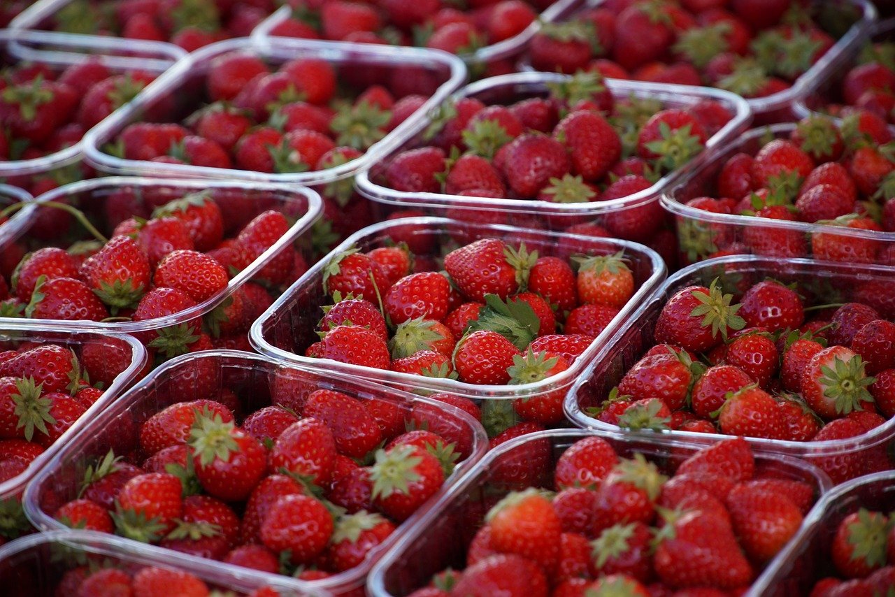 fraises