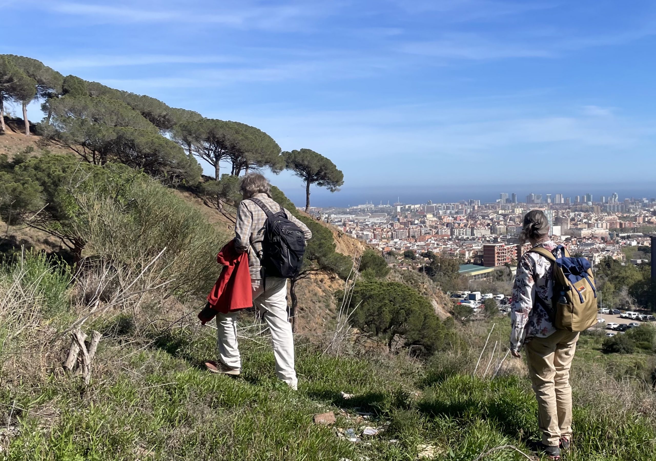 collserola nou barris vue scaled