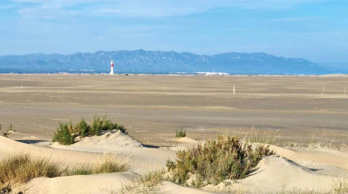 delta de l'ebre