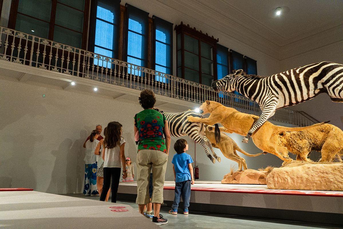 nuit des musées Barcelone